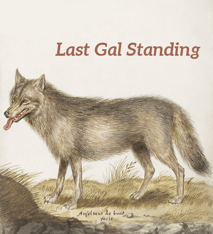 Canis Lupus Illustration. "Last Gal Standing," refers to Mindy Aronoff, BAVC Media's longest staff member Illustration from the public domain: Wolf, Canis lupus (1596–1610) by Anselmus Boëtius de Boodt. Text had been added in a ruddy pink color matching the wolf's tongue reading "Last Gal Standing," referring to Mindy Aronoff, BAVC Media's longest staff member.