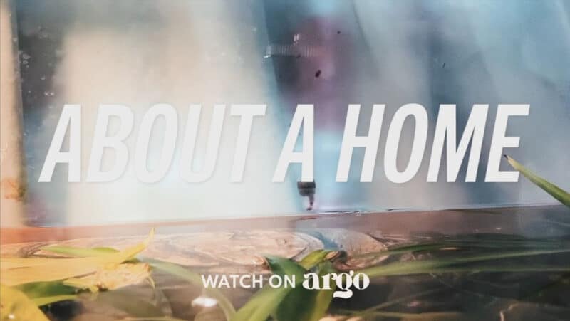 Abstract still from ABOUT A HOME of a blurry dreamy window with the subtitle "watch now on Argo"