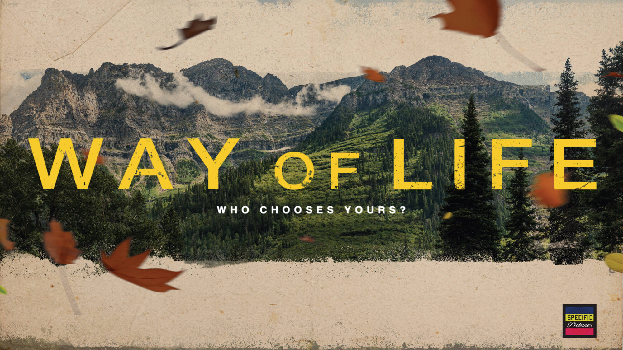 On a weathered background of mountain lanscape is the tlte "WAY OF LIFE" and subtitle "who chose yours?"